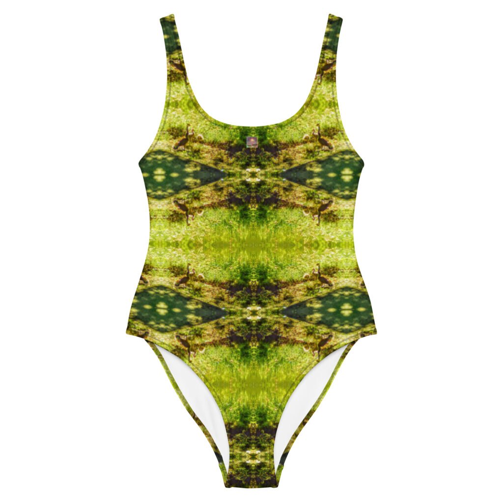 Arkansas River Flooded Swimsuit