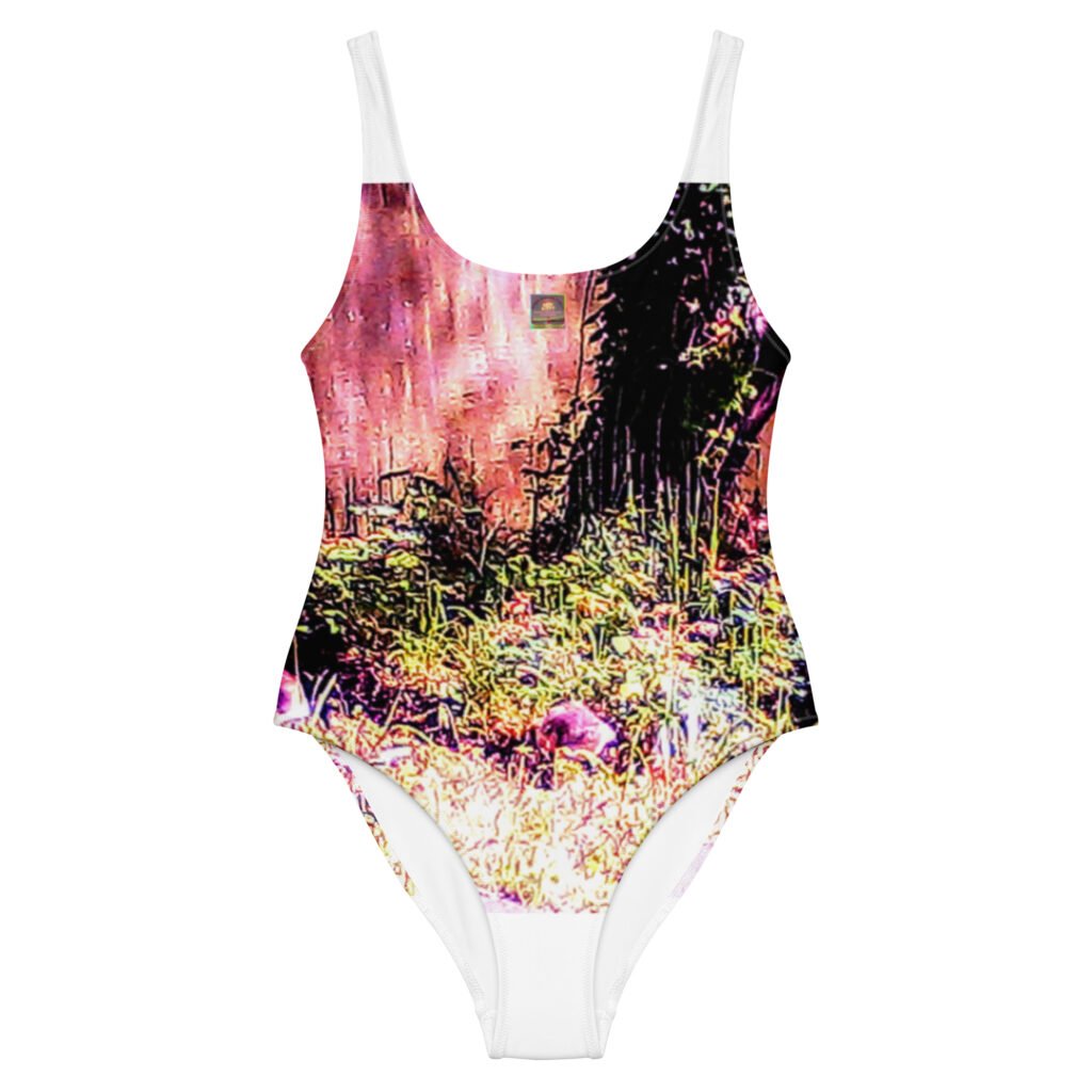 Raspberry Haze One-Piece Swimsuit
