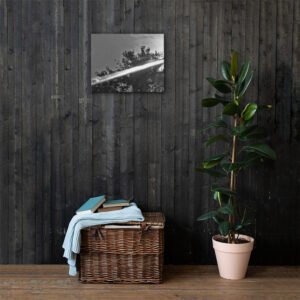 BEAUTIFUL BLACK WHITE VISTA  CANVAS WALL PRINT OCT. 8TH, 2021 @ 2:02 P.M.