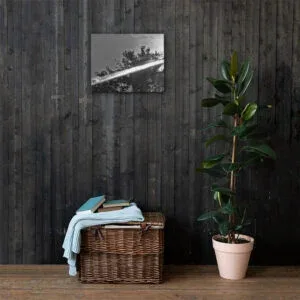 BEAUTIFUL BLACK WHITE VISTA  CANVAS WALL PRINT OCT. 8TH, 2021 @ 2:02 P.M.