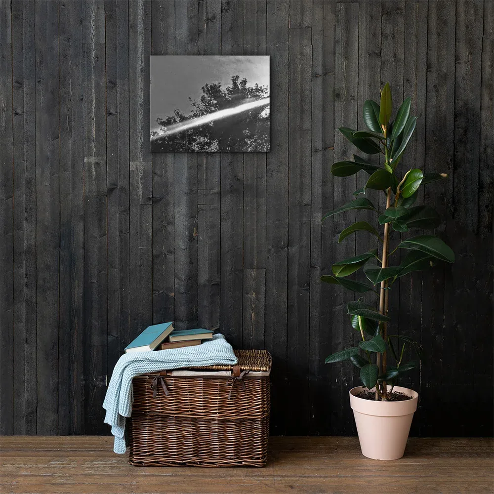 BEAUTIFUL BLACK WHITE VISTA CANVAS WALL PRINT OCT. 8TH, 2021 @ 2:02 P.M.