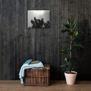 Steel Grey Blue Skies Canvas Wall Print