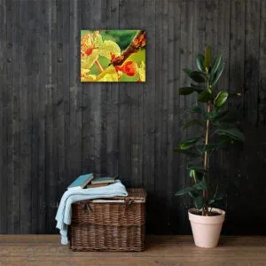 Beautiful Arkansas Cherry Blossoms Close Up Limb Green Canvas Wall Print
