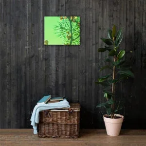 Beautiful Light Satin Green 2 Cherry Blossoms Full Bloom Rain Canvas