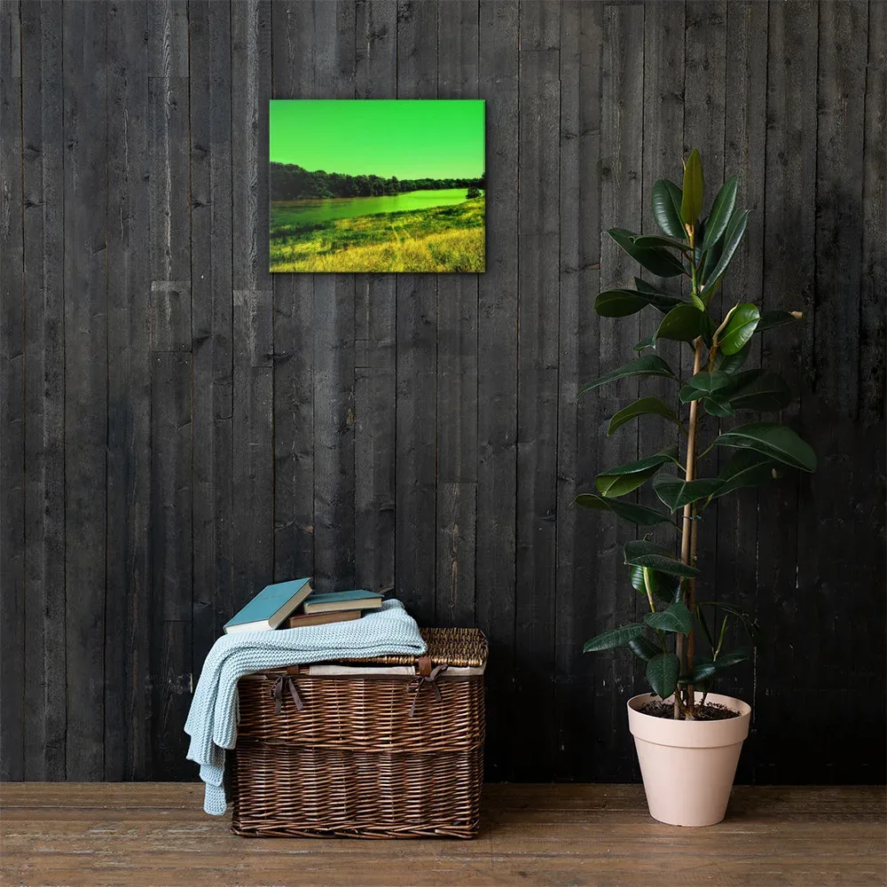 EXQUISITE ARKANSAS RICH GREEN SKIES MISSISSIPPI RIVER DELTA COLLECTION FLOODED BANKS CANVAS WALL PRINT OCT. 25TH, 2017 @ 2:05 P.M. P.M.