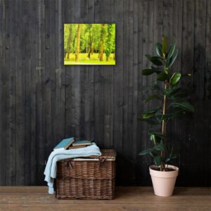 EXQUISITE ARKANSAS LIME GREEN TREE MEDLY FLOODED RIVER CANVAS WALL PRINT OCT.  25TH, 2017 @ 12:52 P.M.