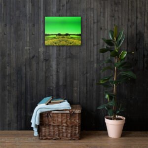 Flooded Banks Mirror Canvas Wall Print
