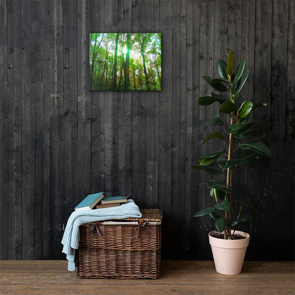 Green Trees & Trails - Arkansas Fall Canvas Print