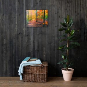 Colorful Trees & Trails - Arkansas Fall Canvas Print