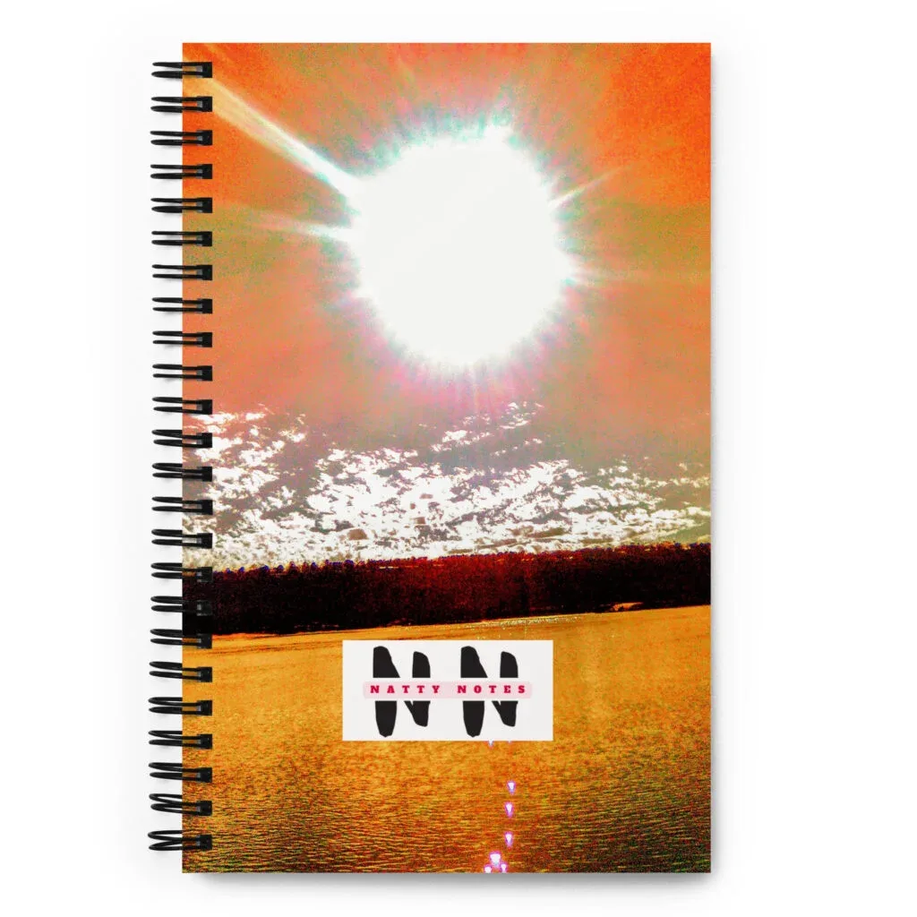 Natty Notes Tangerine River Spiral Notebook