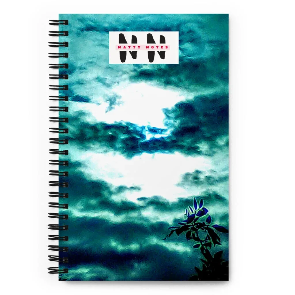 Natty Notes Teal Clouds Spiral Notebook