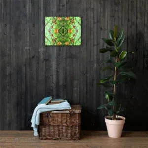 Hazy Arkansas Cherry Blossoms - Canvas Wall Print