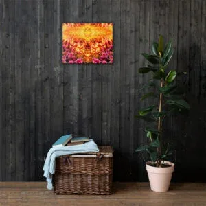 Passion Pink Golden Medley - Canvas Wall Print