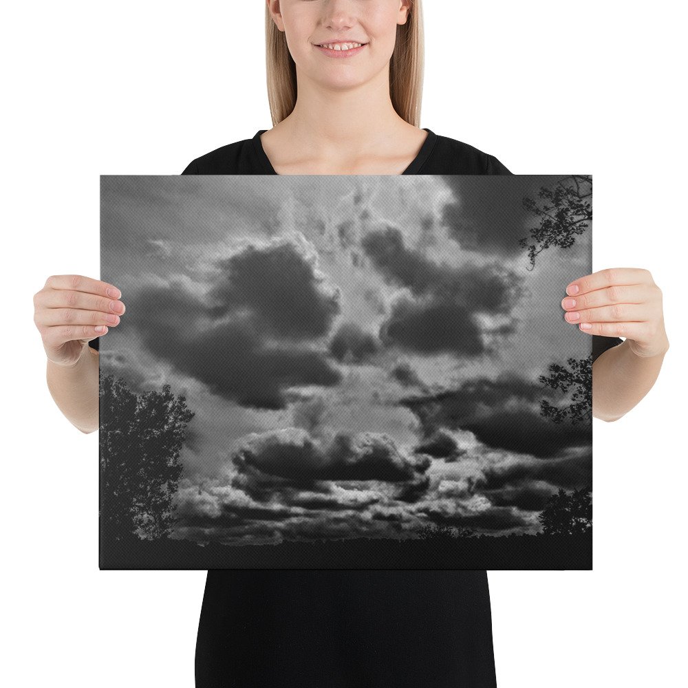 Black White Vista Poodle Play Clouds Canvas