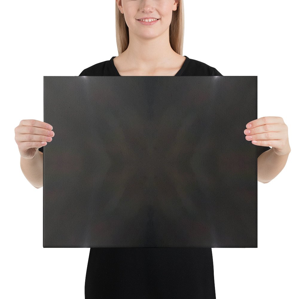 Arkansas Black Sky Butterfly Mirrored Canvas Wall Print