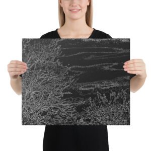 Arkansas Bush Black Xray Skies Canvas Wall Print