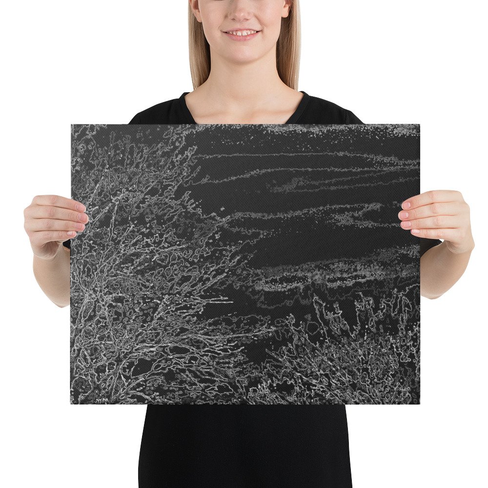 Arkansas Bush Black Xray Skies Canvas Wall Print