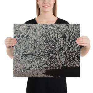 Arkansas Bush Black White Vista Xray Skies Canvas Wall Print