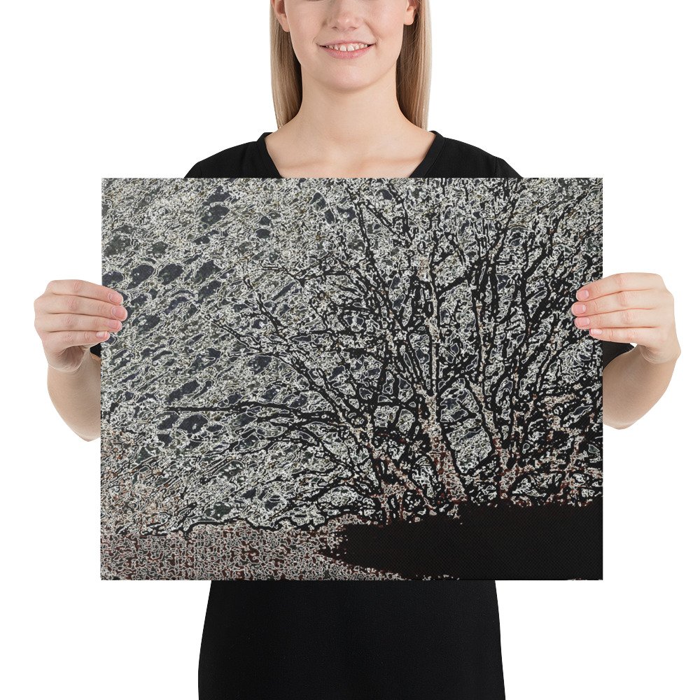 Arkansas Bush Black White Vista Xray Skies Canvas Wall Print