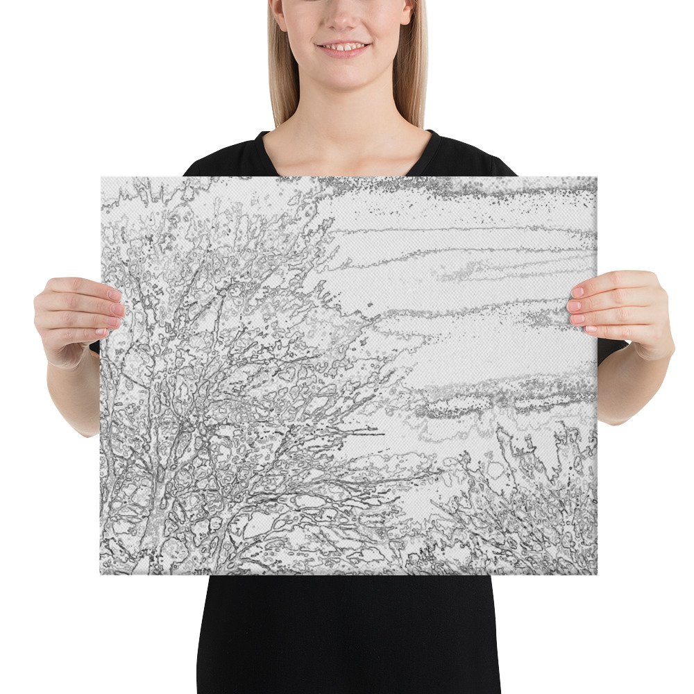 Arkansas Bush White Black Xray Skies Canvas Wall Print