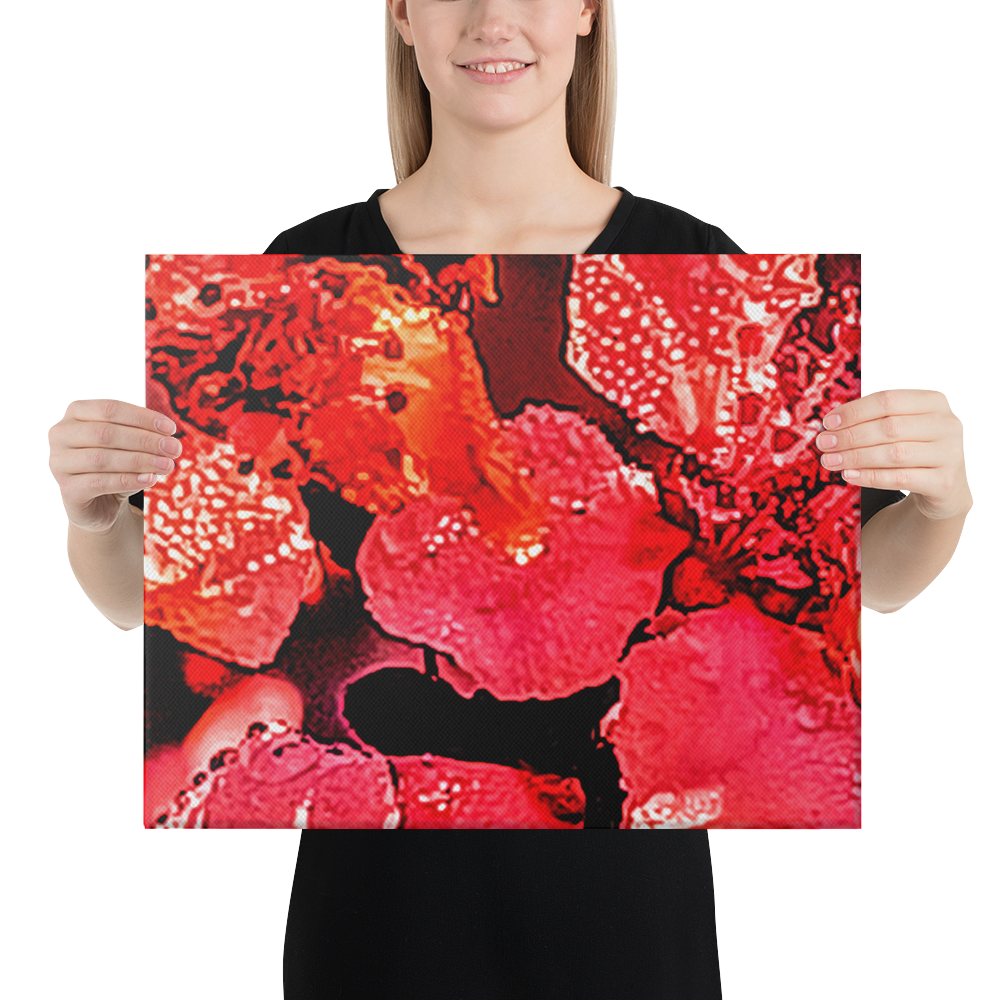 Beautiful Arkansas Cherry Blossoms Close Up Canvas - Image 2