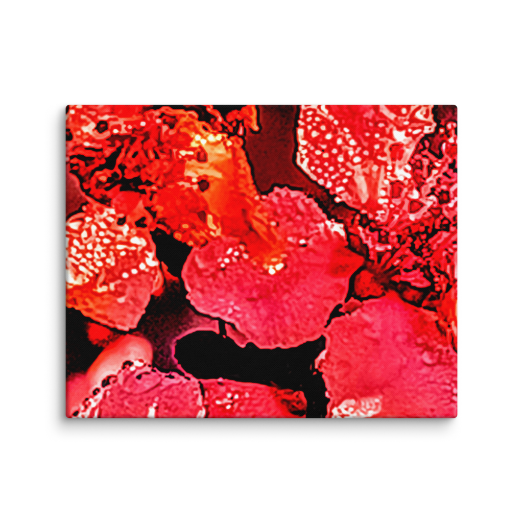 Beautiful Arkansas Cherry Blossoms Close Up Canvas