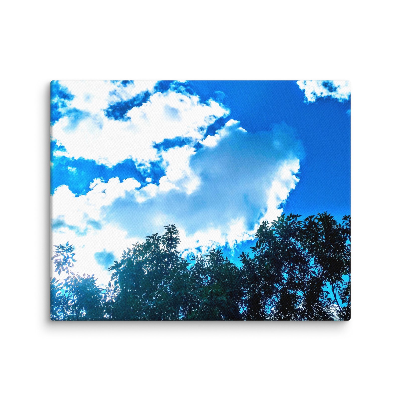 Beautiful Blue Skies Dolphin Clouds Canvas - Image 4