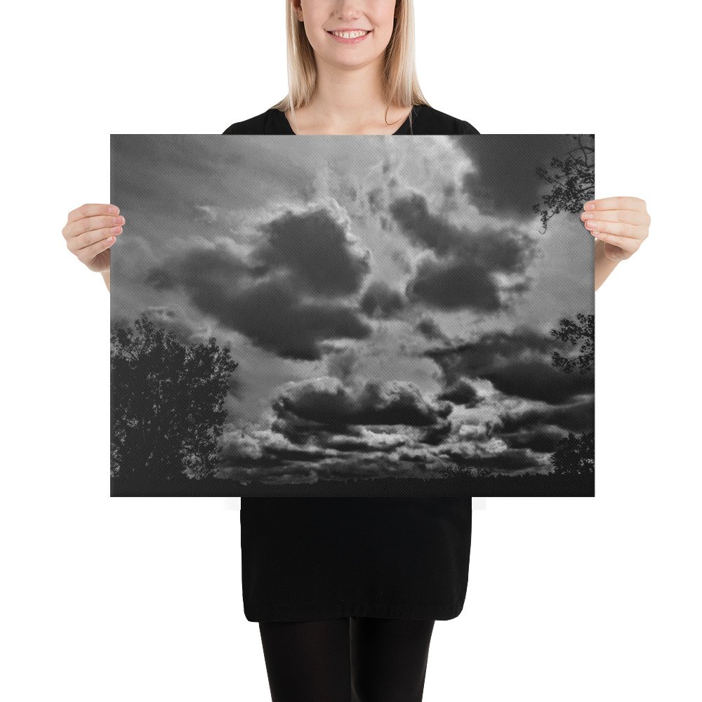 Black White Vista Poodle Play Clouds Canvas - Image 2