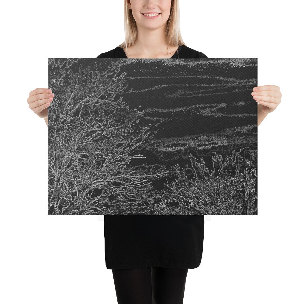 Arkansas Bush Black Xray Skies Canvas Wall Print - Image 2