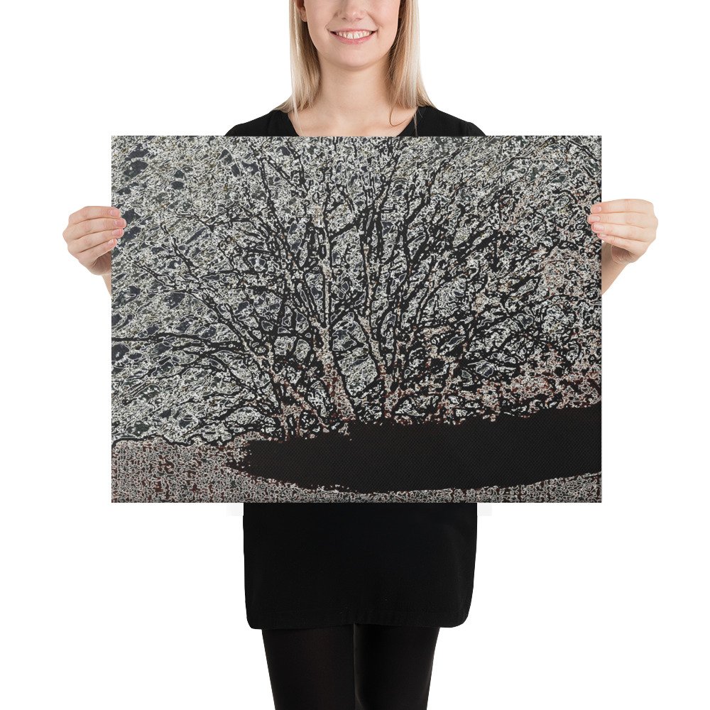 Arkansas Bush Black White Vista Xray Skies Canvas Wall Print - Image 2