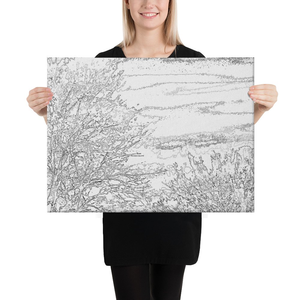 Arkansas Bush White Black Xray Skies Canvas Wall Print - Image 2