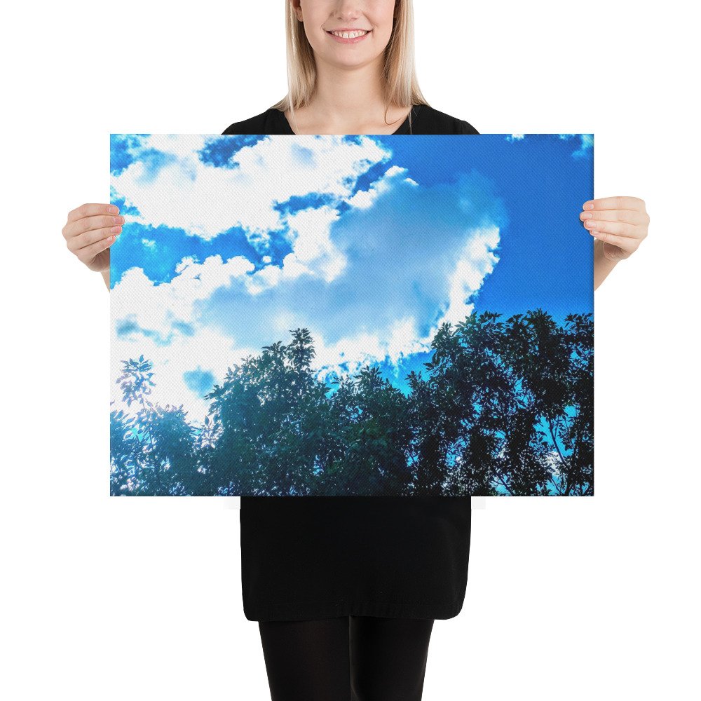 Beautiful Blue Skies Dolphin Clouds Canvas - Image 3