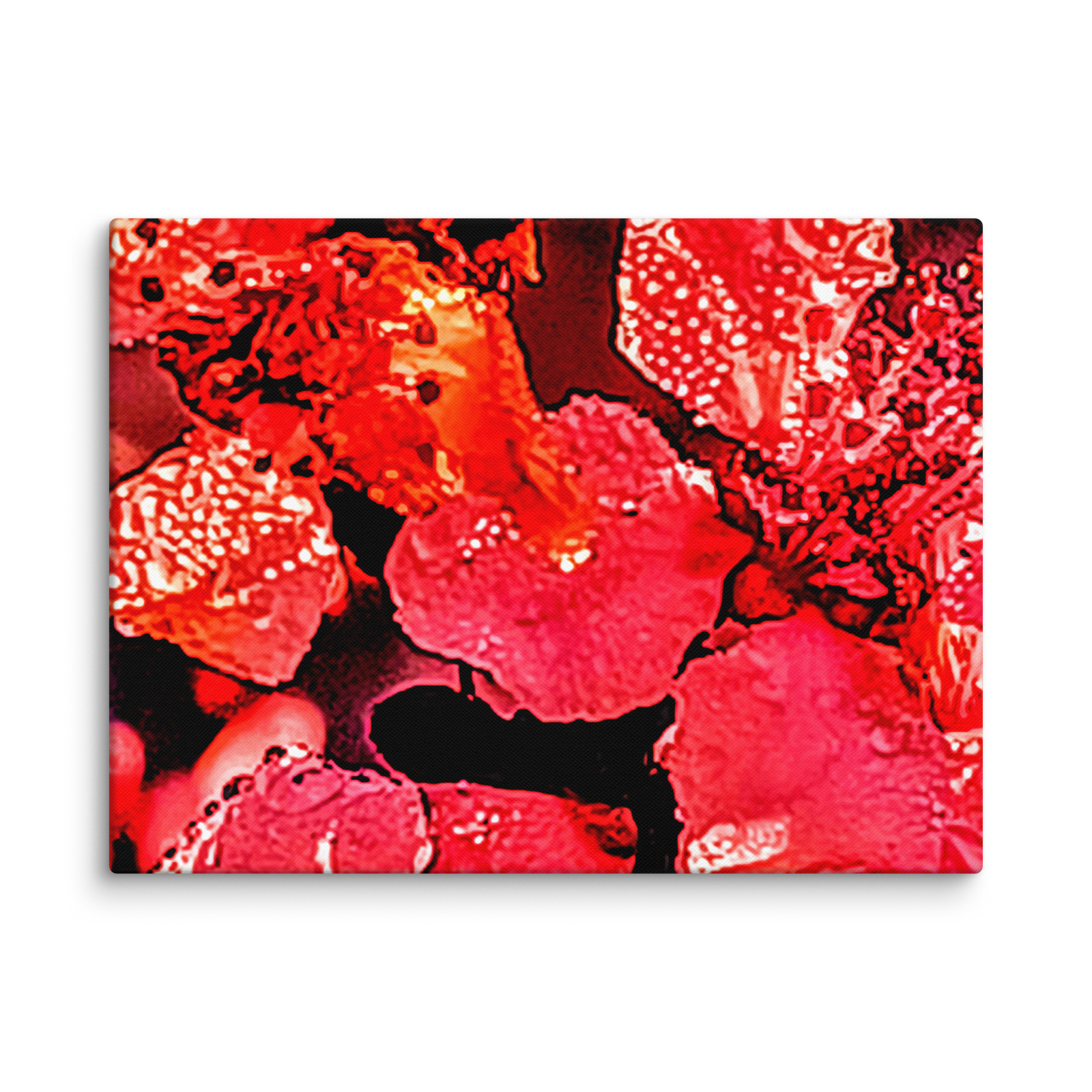 Beautiful Arkansas Cherry Blossoms Close Up Canvas - Image 4