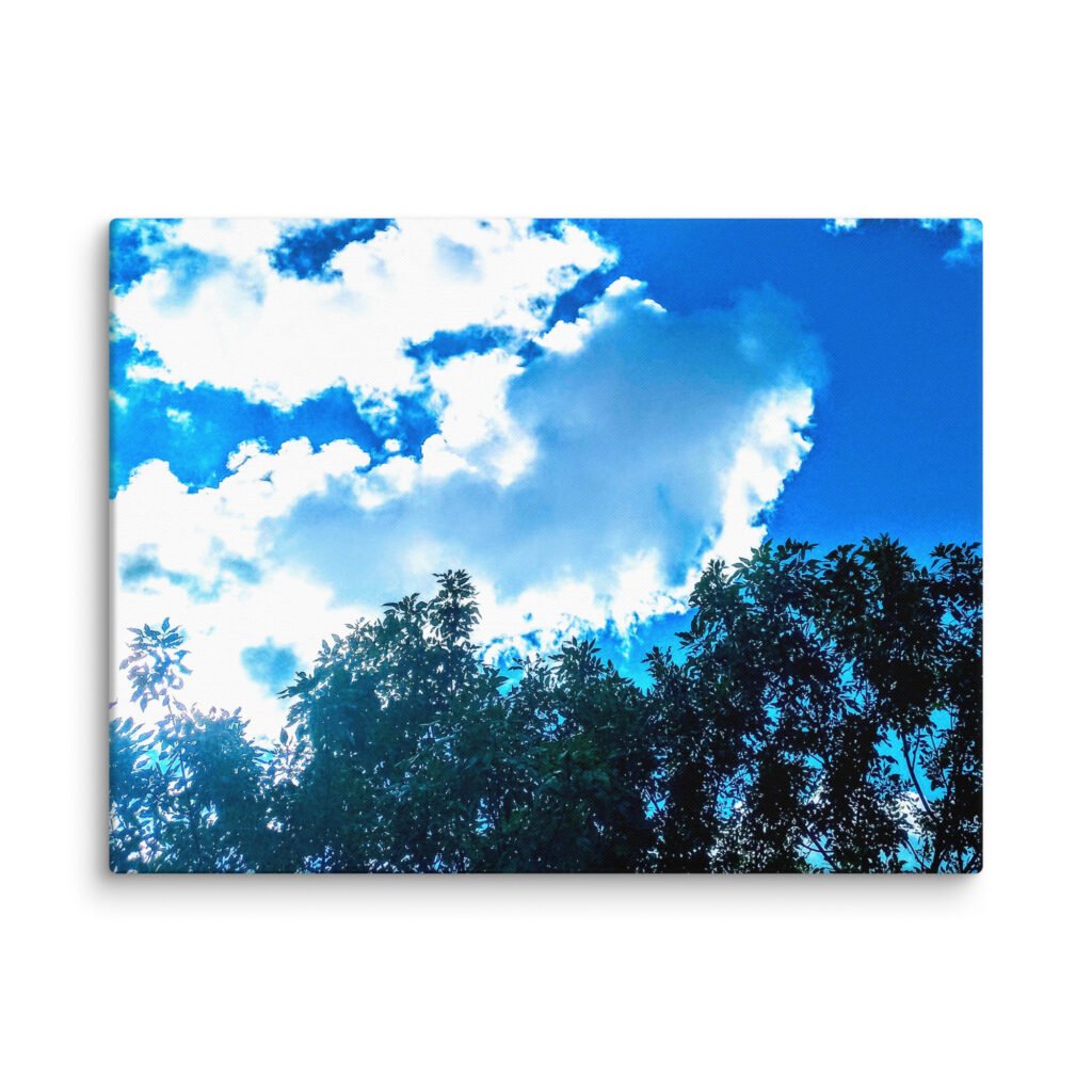 Beautiful Blue Skies Dolphin Clouds Canvas