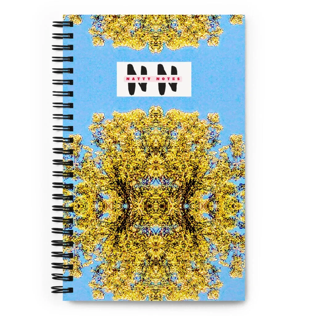 Arkansas Aqua Blue Skies - Spiral Notebook