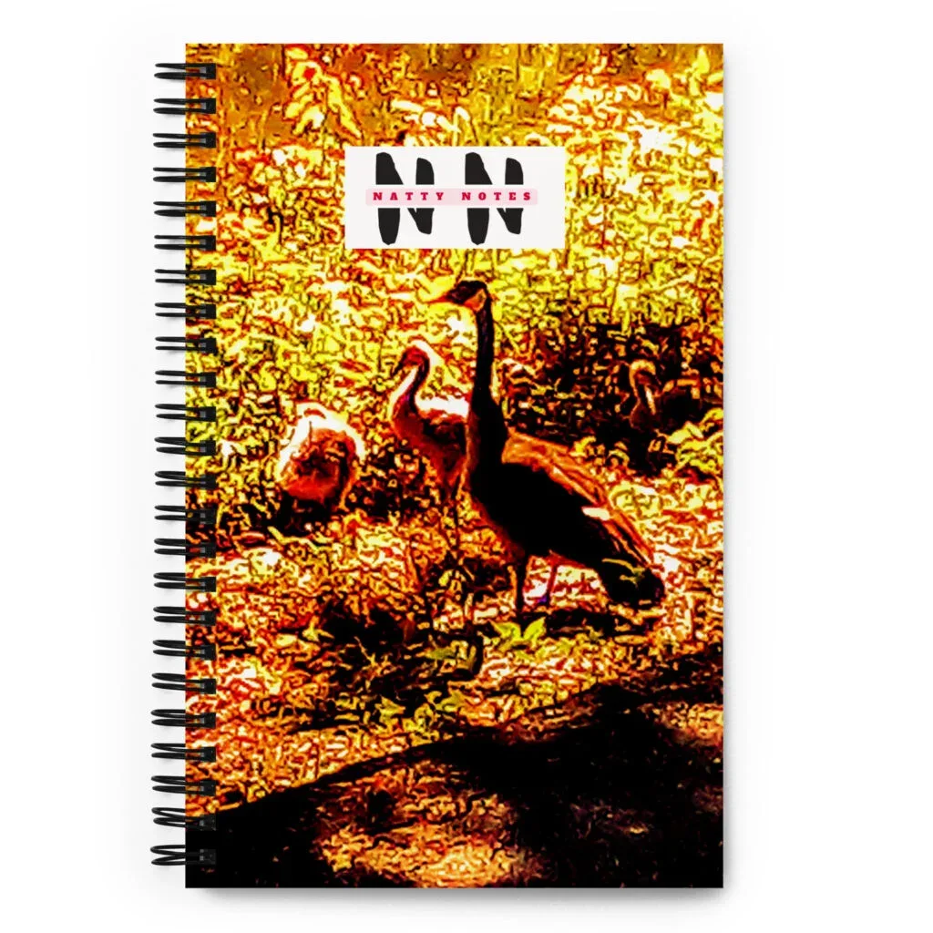 Natty Notes: Yellow Medley Duck Notebook