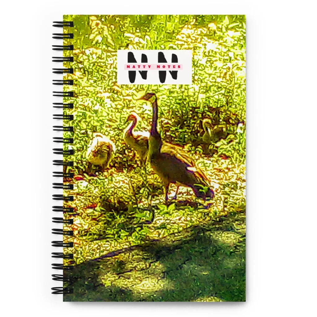 Natty Notes: Duck Mamma's Babies Notebook