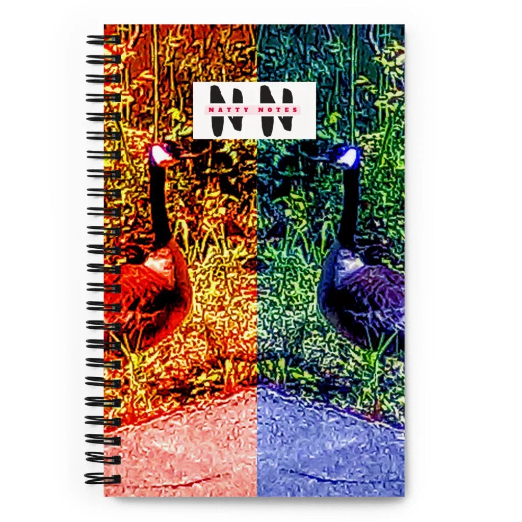 Natty Notes: Red Blue Duck Duel Notebook