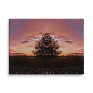 Beautiful Arkansas Satin Pink Aleutian Blue Mirror Print