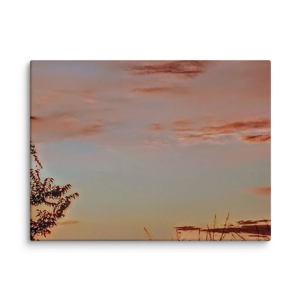 Exquisite Arkansas Satin Light Pink Skies Clouds Print